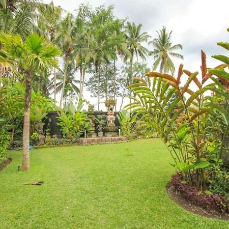 Luxury 3Br Infinity Jungle View Aashaya Villa Ubud Esterno foto