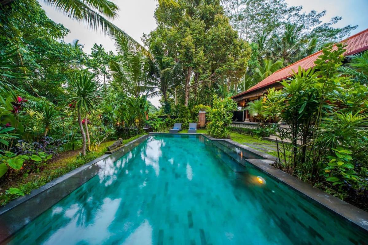 Luxury 3Br Infinity Jungle View Aashaya Villa Ubud Esterno foto
