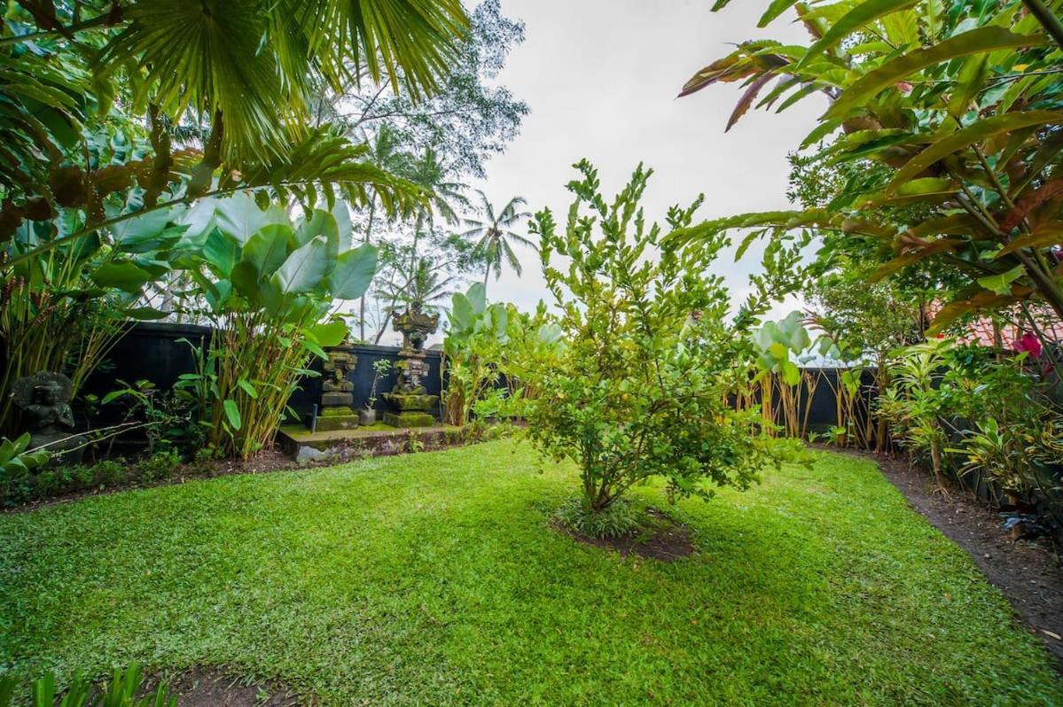 Luxury 3Br Infinity Jungle View Aashaya Villa Ubud Esterno foto